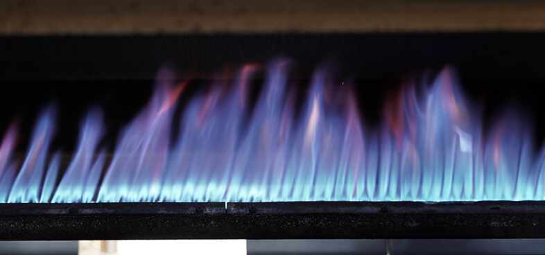 焙煎/香りと旨みを引き出す