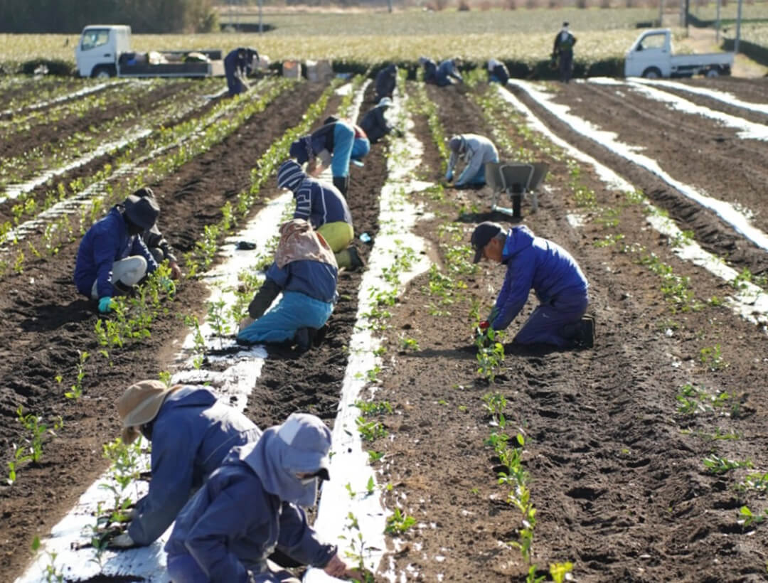 地球環境を健康にする大塚園