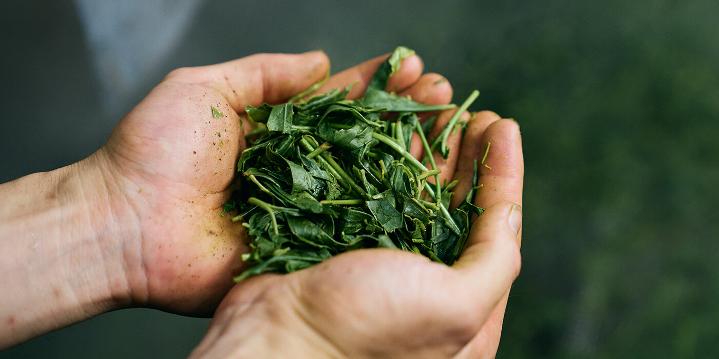 大塚園のはじまり